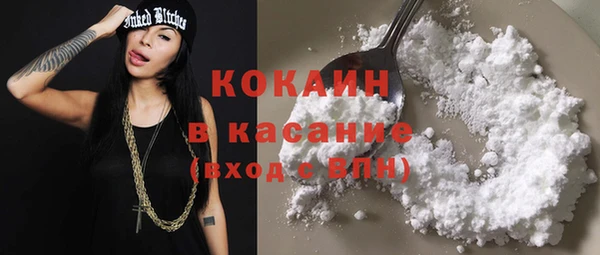 хмурый Няндома