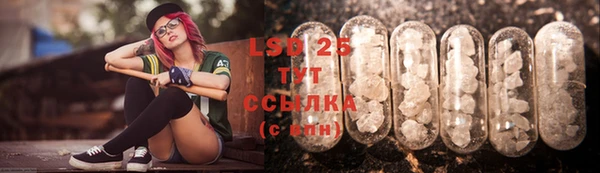 хмурый Няндома