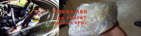 хмурый Няндома
