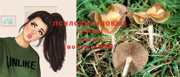 соль курить ск Нягань