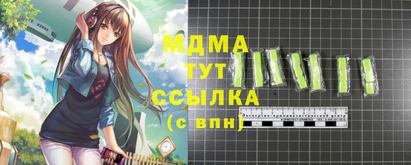 хмурый Няндома