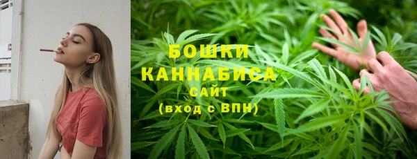 молекула духа Нязепетровск