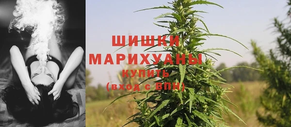 хмурый Няндома