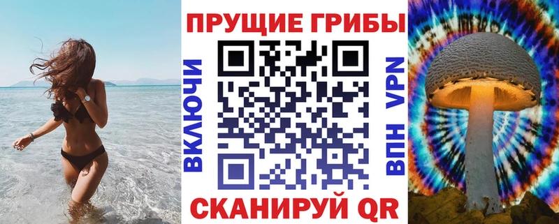 закладка  Шарыпово  Псилоцибиновые грибы MAGIC MUSHROOMS 