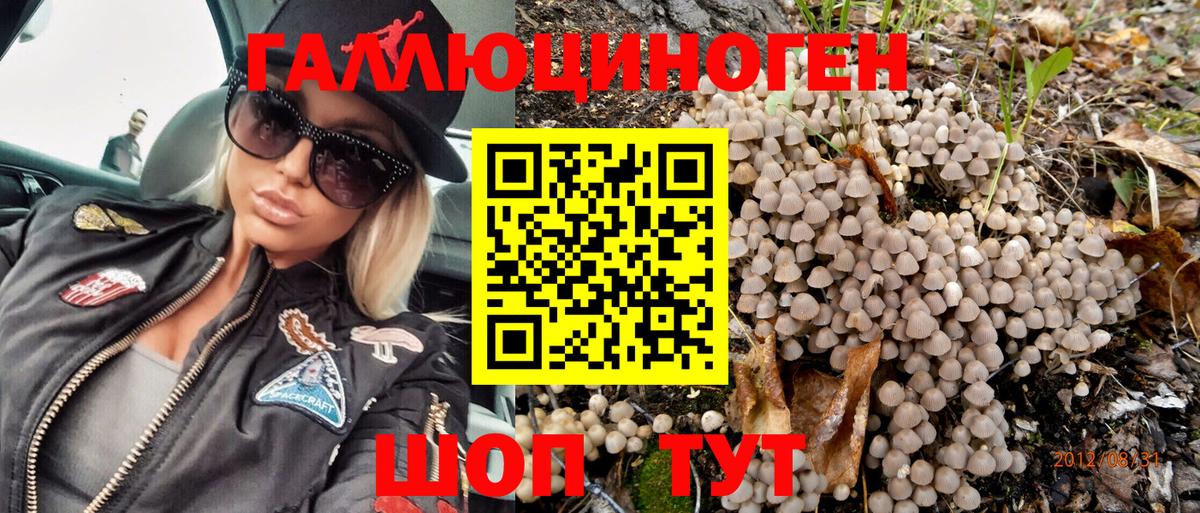 Псилоцибиновые грибы Psilocybe Шарыпово