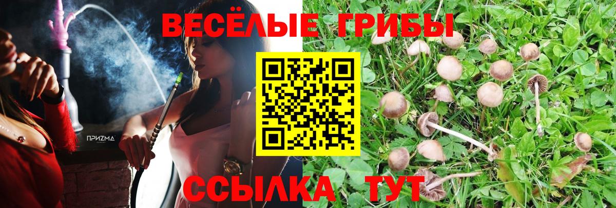 Псилоцибиновые грибы Magic Shrooms Шарыпово