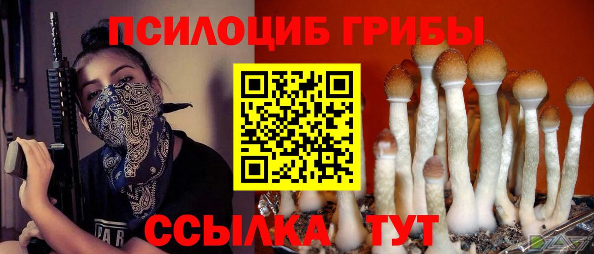 Шарыпово  Псилоцибиновые грибы Psilocybe  Вход с VPN 